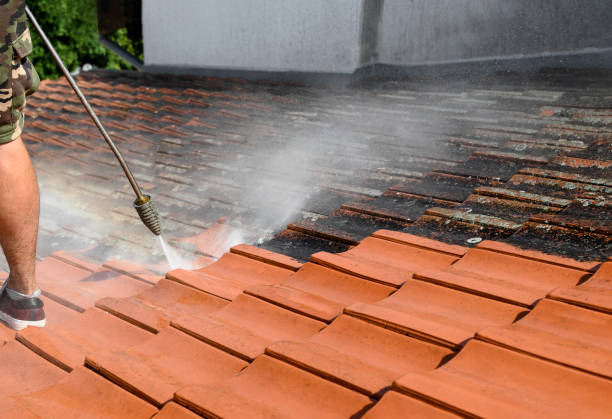 Why Choose Our Certified Pressure Washing Experts for Your Project Needs in White Pigeon, MI?