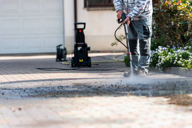 Best Pressure Washing Siding  in White Pigeon, MI