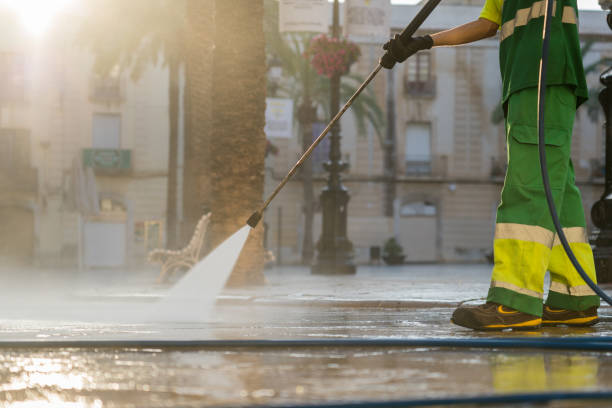 Best Exterior Home Cleaning  in White Pigeon, MI