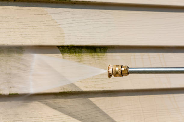 Best Roof Power Washing Services  in White Pigeon, MI