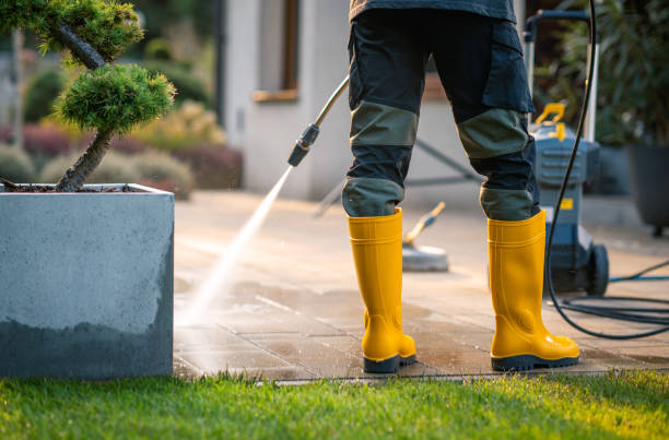 Best Local Pressure Washing Services  in White Pigeon, MI